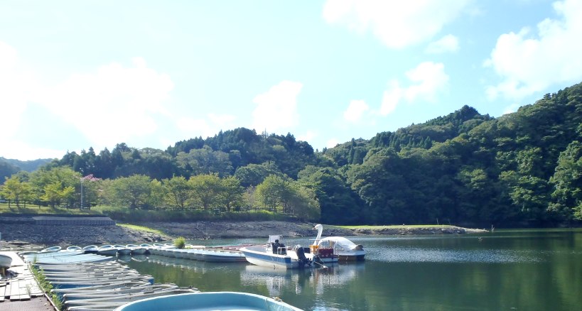 fig.00 �T�R�΁i�ΔȂ̏h�΂����ƎV���j