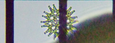 fig.12 �t�^�d�m�N���V���E��