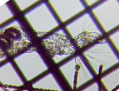 fig.03 �t�T�J���i�����j