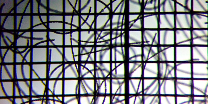 fig.01 �A�i�x�i