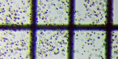 fig.06 �N���I�R�b�N�X��