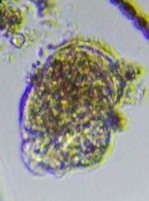 fig.06 �e�}�������V