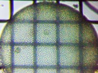 fig.08 �{���{�b�N�X��