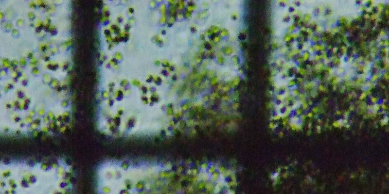 fig.03 ����̌����ʐ^