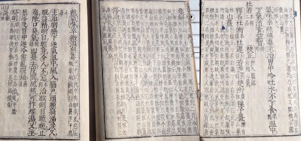 fig.05 �悵����ˑ��w�{���j�ځx�́u�m��v����