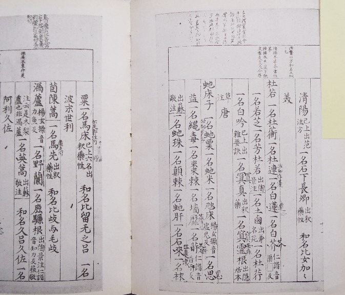 fig.07 �悵����ˑ��w�{���a���x�́u�m��v����