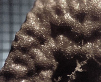 fig.16 ��q�������ʐ^