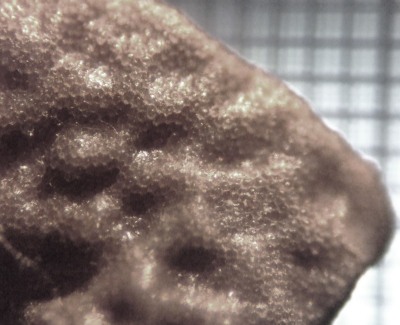 fig.17 ��q�������ʐ^