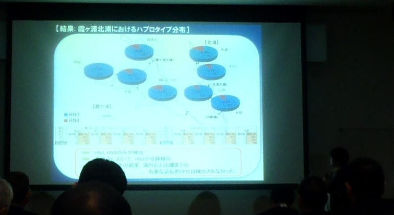 fig.02 �O�H�W���Y���ق��U�����������́w���P�Y�k�Y�ɂ����郏�J�T�M�̈�`�I�W�c�\���Ɋւ��錤���x