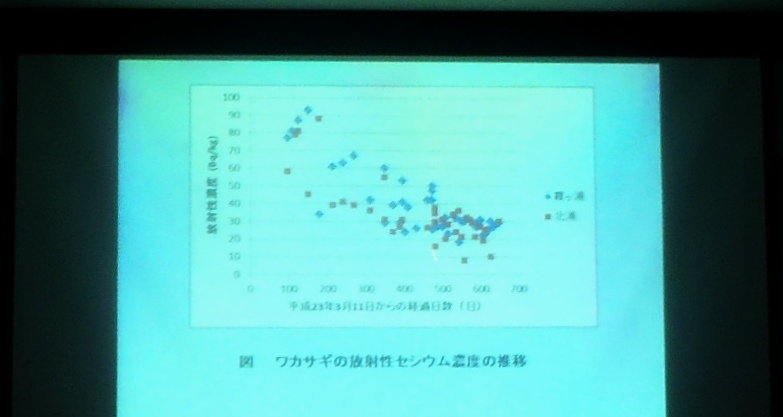 fig.07 ��錧���Y����������ʎx�ꍪ�{�@�F������
�w���P�Y�E�k�Y�ɂ����郏�J�T�M�̕��ː��Z�V�E���Z�x�̓����x
