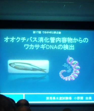 fig.08a �Q�n�����Y�����ꏬ��֗R���Z�t�́w�I�I�N�`�o�X�����Ǔ��e������̃��J�T�M�c�m�`�̌��o�x