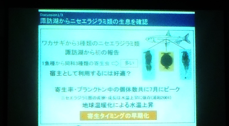 fig.14 �M�B��w��w�@���H�w�n�����Ȍ˓c�����Y���A�M�B��w�R�x�Ȋw�����������ԗ��F�K�����iDr.�j��
�w�z�K�΂ɂ����Ċm�F���ꂽ���J�T�M�Ɋ񐶂���P���~�W���R�A�j�Z�G���W���~�ށx