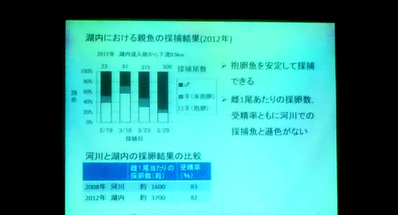 fig.15 ��t�����Y���������Z���^�[�����ʐ��Y���������@����Y��C��Ȍ������́w����΂ɂ����郏�J�T�M�̎��R�Y���Ɛe���̕߂̎��݁x
