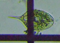 fig.09 �t�@�[�N�X��