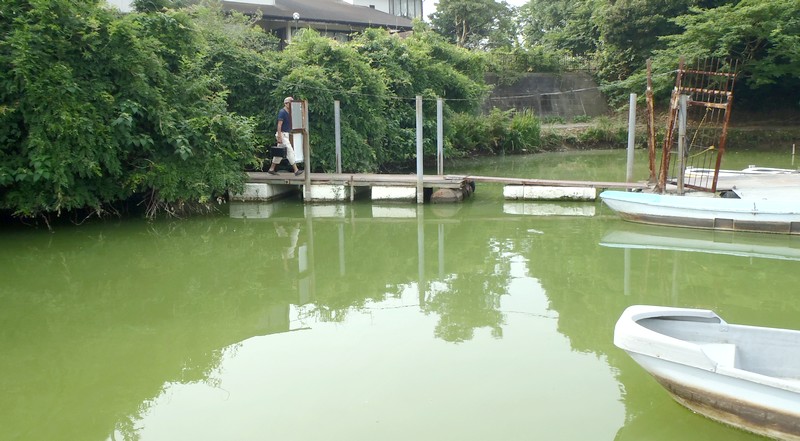 fig.00 �Y�փP�r�̃A�I�R���ہi�{�[�g�V���j