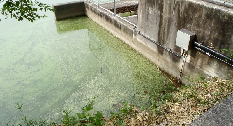 fig.07 �A�I�R���ہi�g���@�ꉡ�j