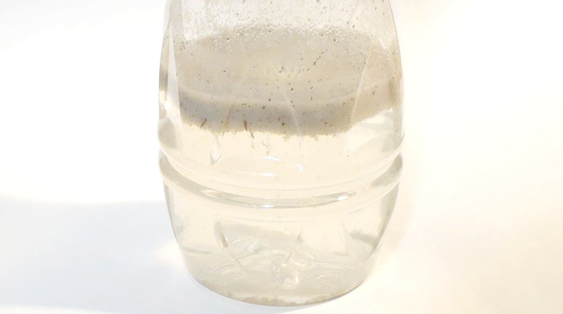 fig.02a �r���\�w���̗l�q�i�y�b�g�{�g���j