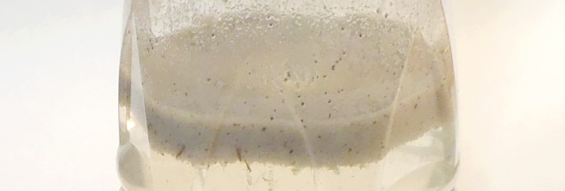 fig.02b �r���\�w���̗l�q�i�y�b�g�{�g���j