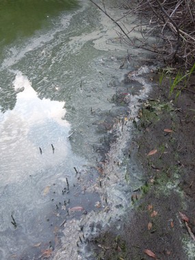 fig.05 �k�݂̗l�q