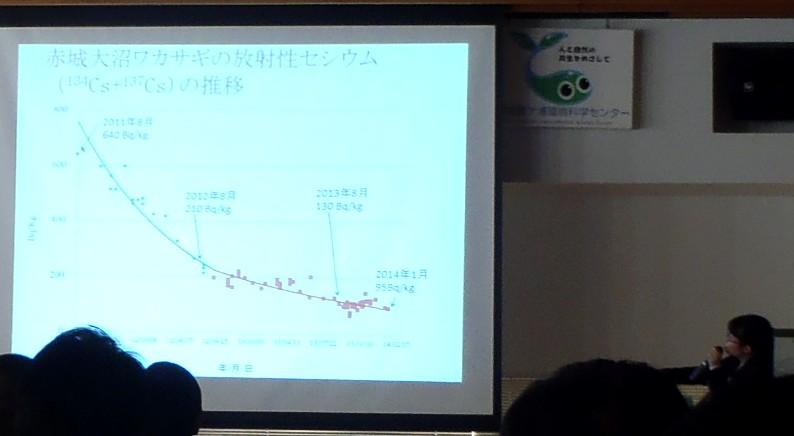 fig.04 �Q�n�����Y�����ꏬ��֗R���Z�t�E�������������쌴���ꎺ���́w�ԏ����ɂ�������ː��Z�V�E���̐���-���J�T�M�͉����ǂ̗l�ɐH�ׂĂ��邩�H-�x