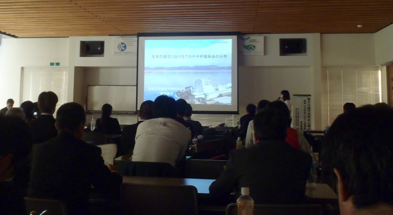 fig.08 �O�O��w��w�@����w�����ȋe�r�q�q���́w���{�̌Ώ��ɂ����郏�J�T�M�t���𒎂̕��z�x