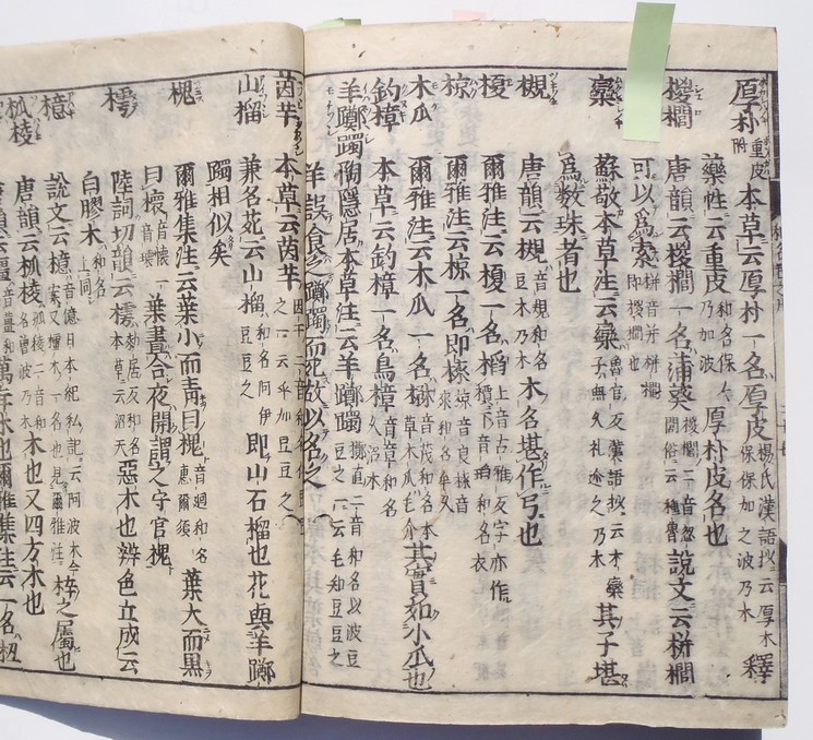 fig.02 �悵����ˑ��w�`��������x�́u�r�U�P�v����