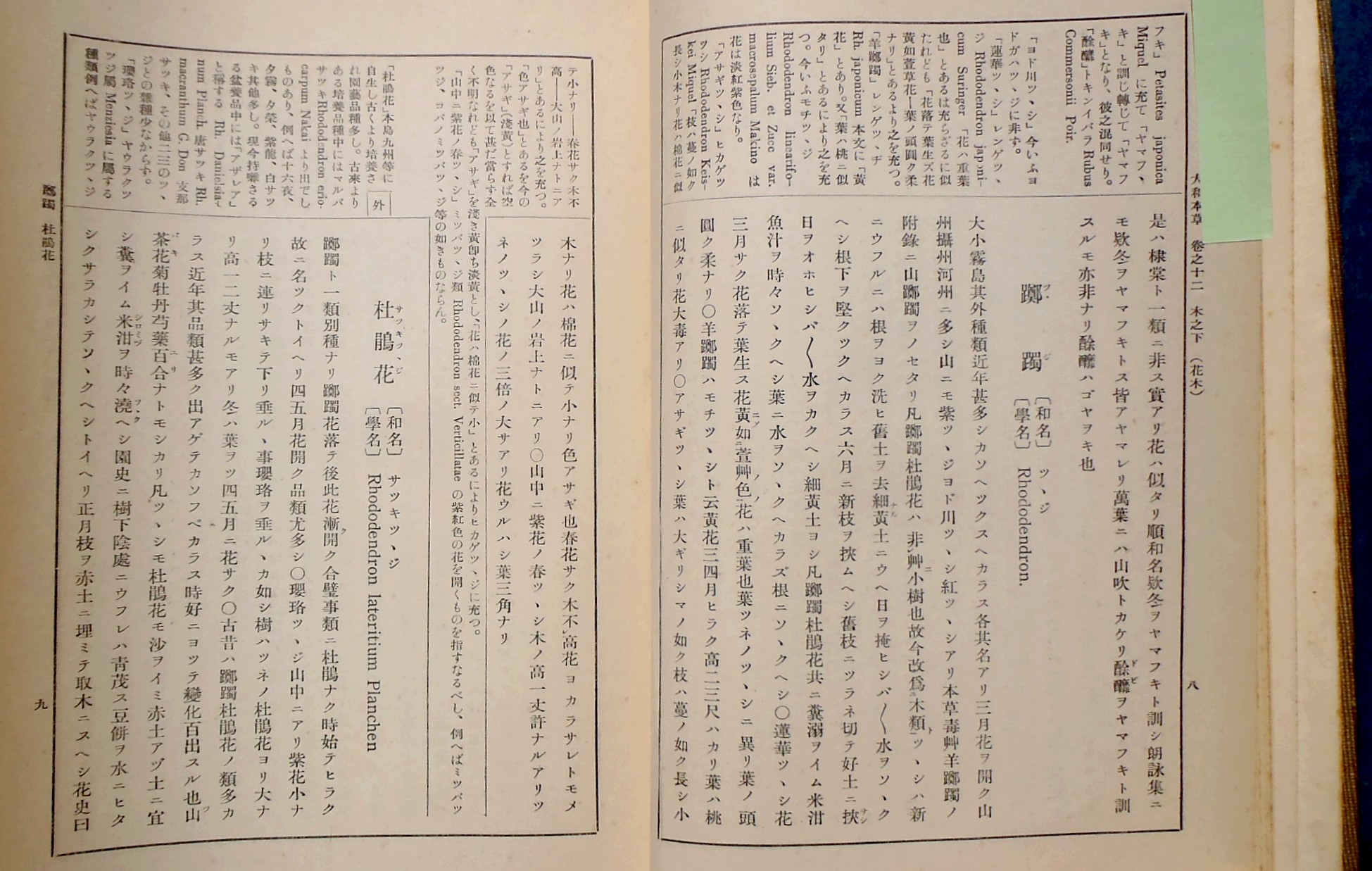 fig.03 �悵����ˑ��w�l����a�{���x�́u�U�P�̍��v