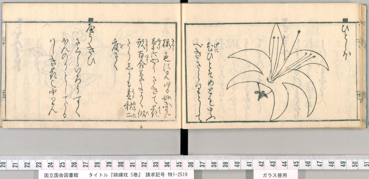 fig.05 �w�яJ���x�́u�ЂƂ��فv