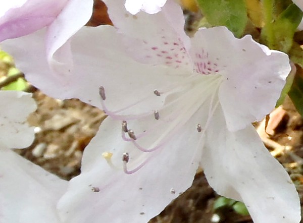 fig.07 ���J�T�M�@�T�قP�O�Y�B