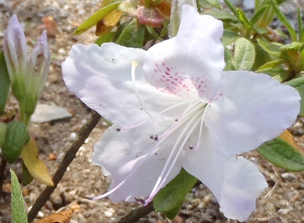 fig.08 ���J�T�M�@�T�ف@�W�Y�B