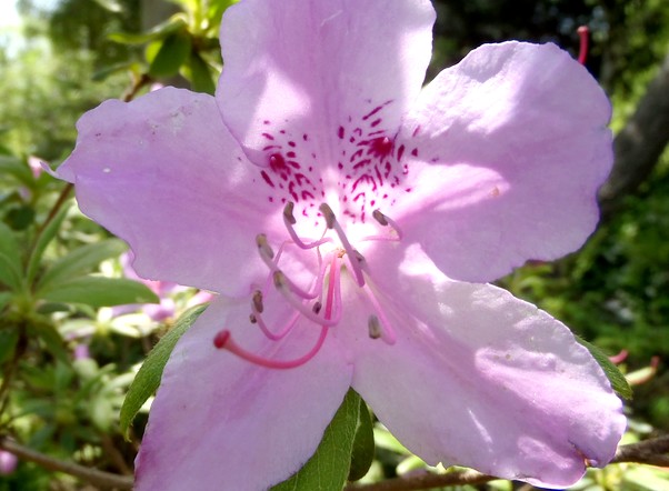 fig.10 �L�V�c�c�W�@�T�قP�O�Y�B