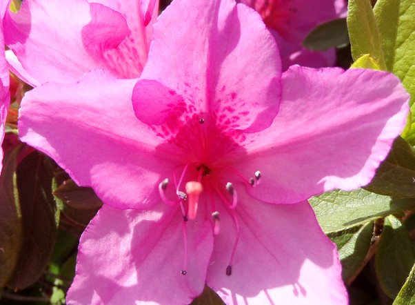 fig.16 �I�I�����T�L�@�T�قP�O�Y�B