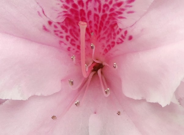 fig.19 ���@�T�قP�O�Y�B