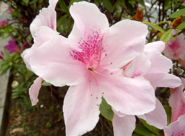 fig.20 ���@�T�قP�O�Y�B