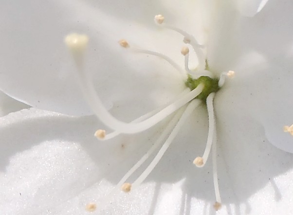 fig.22 �����@�T�قP�O�Y�B