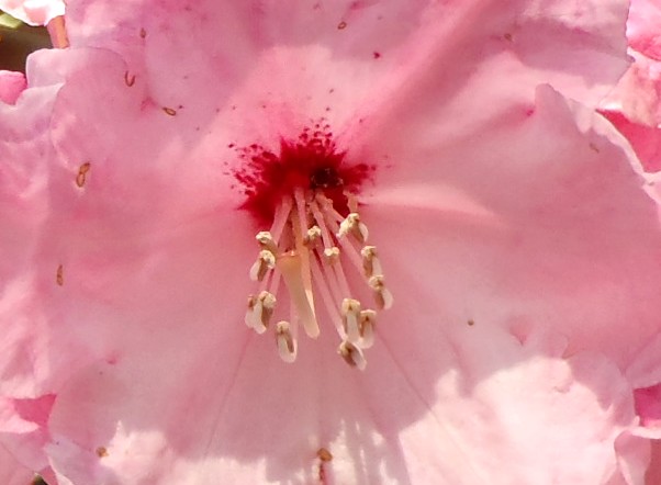 fig.31 �^�C�����V���N�i�Q�i�g�ԂU�قP�Q�Y�B�j