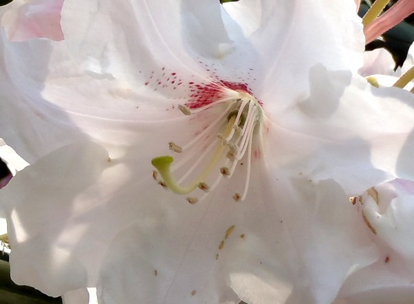 fig.32 �^�C�����V���N�i�Q�i���ԂV�قP�Q�Y�B�j