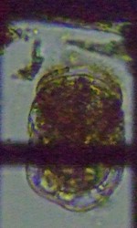 fig.06 �e�}�������V