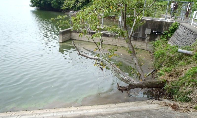 fig.00 �Y�փP�r�g���@�����