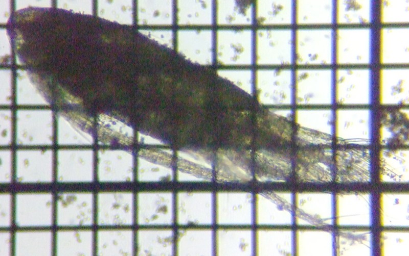 fig.01 �q�Q�i�K�P���~�W���R��