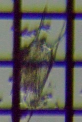 fig.08 �c�m�����V