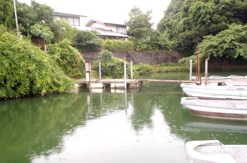 fig.00 �Y�փP�r�̃A�I�R���ہi�{�[�g�n�E�X�c�J���g�V���j