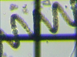 fig.05 �A�i�x�i