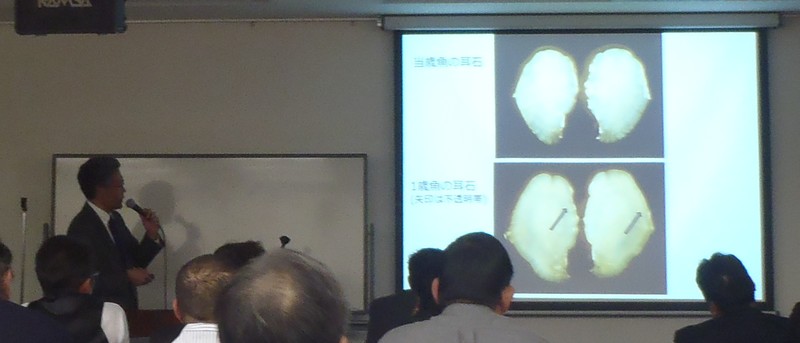 fig.06 ��t�����Y���������Z���^�[�����ʐ��Y������������Y��Ȍ������́w��t������΂̃��J�T�M�����ɂ��āx